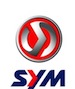 SYM_4c_V_[Converted]